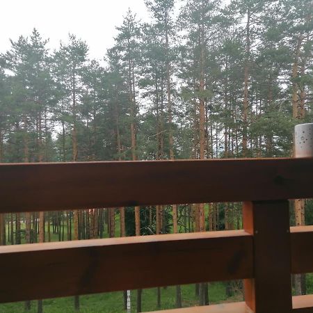 Apartman Nele Zlatibor Exterior photo